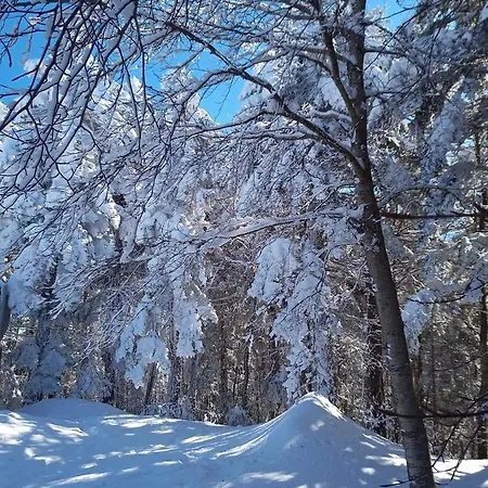 Bed & Breakfast Centrum Palmi