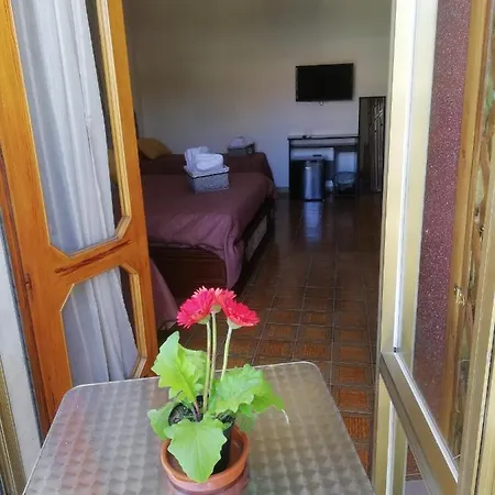 Bed & Breakfast Centrum 4*