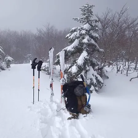 Bed and Breakfast Centrum