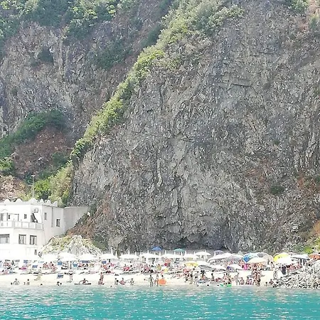 Centrum * Palmi