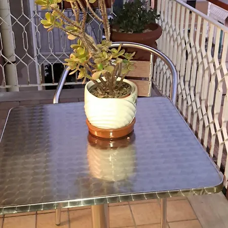 Centrum Palmi