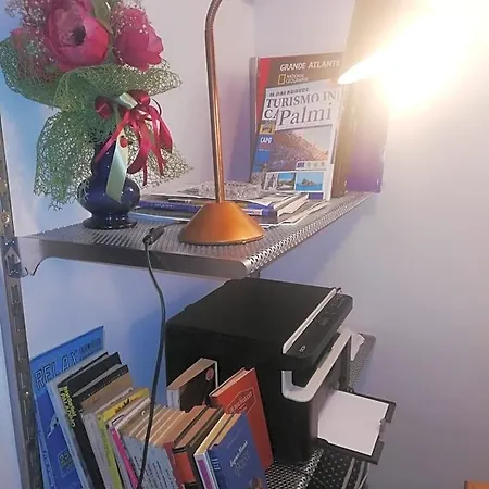 住宿加早餐酒店 Centrum 4*