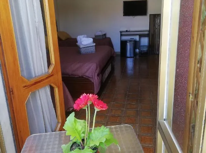 Bed & Breakfast Centrum 4*