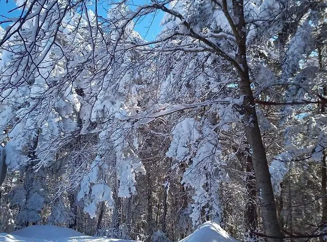 Bed & Breakfast Centrum Palmi