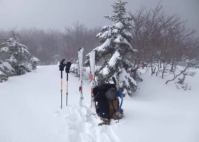 Bed & Breakfast Centrum